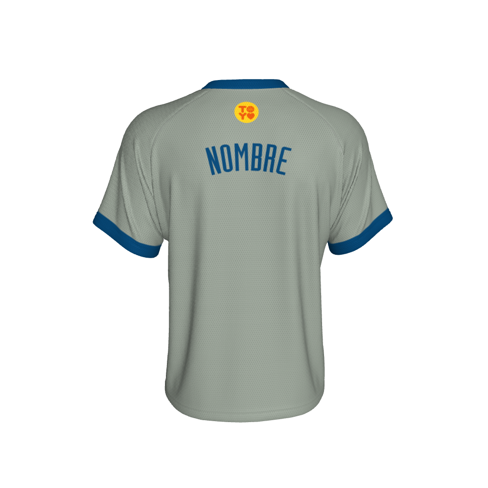 12. CUBRE FIT PLATEADO