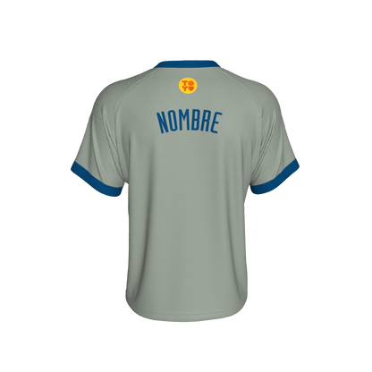 12. CUBRE FIT PLATEADO